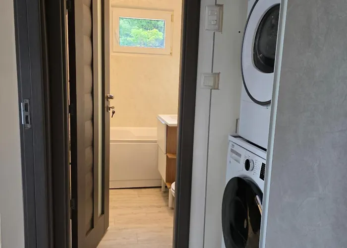 Apartmán Bucura Nest *